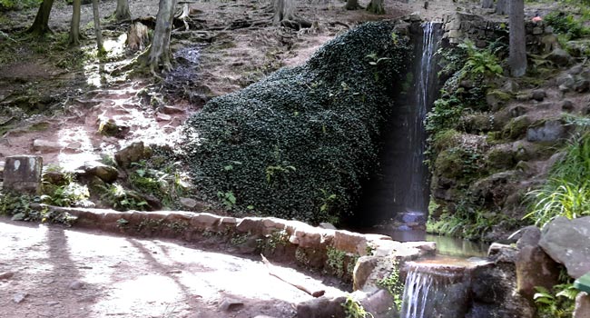 Wasserfall im Pfälzer Wald